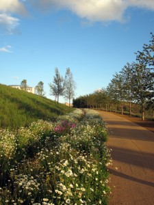 Olympic Park landscape