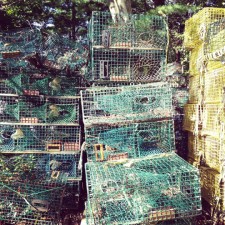 Lobster traps as building blocks?