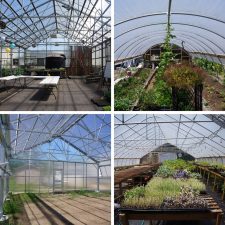The greenhouse serves as the hub of many urban farming operations, and often serves as a neighborhood hub as well. At The Food Project