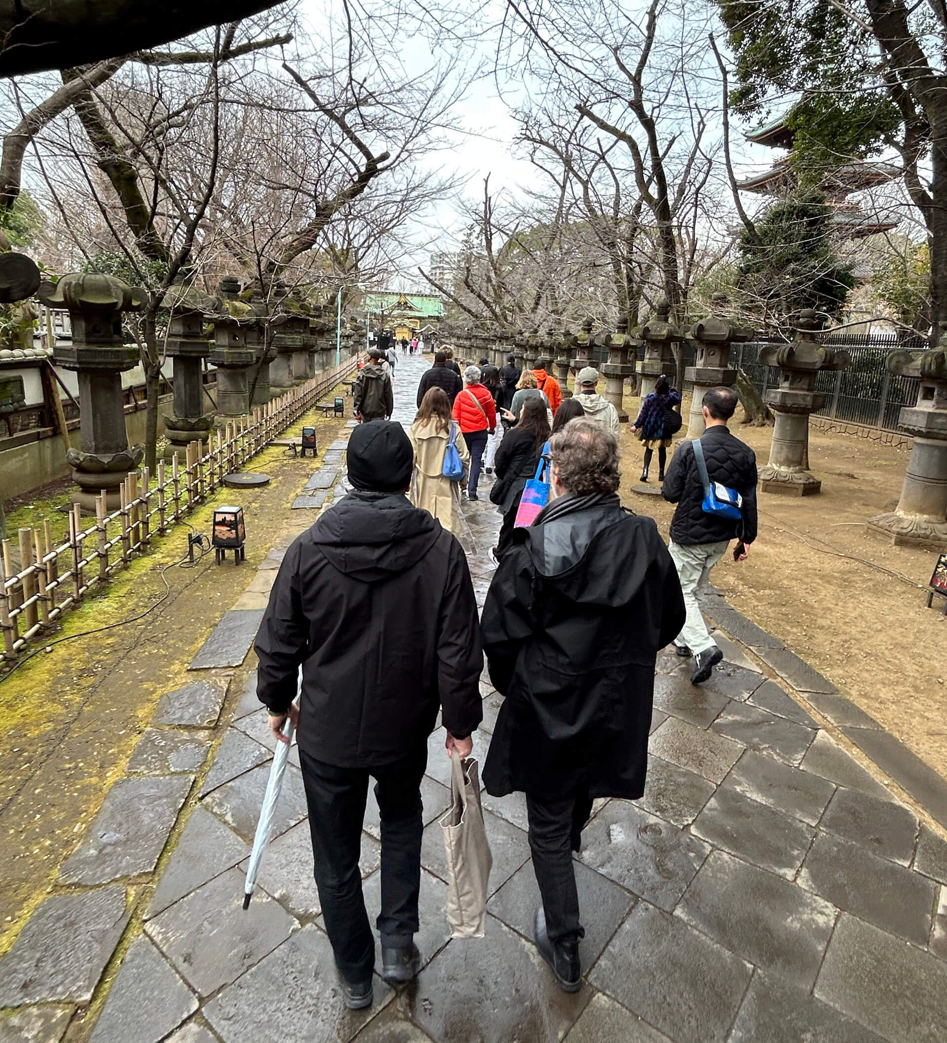 Loebs and students walking in Ueno Park on rainy day