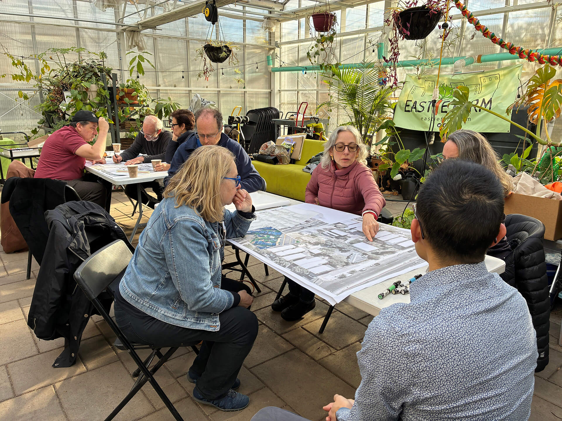 Working groups at work in greenhouse
