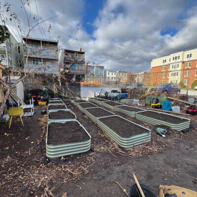 Raised beds on the Eastie Farm site bordered by 3-deckers and multifamily housing.