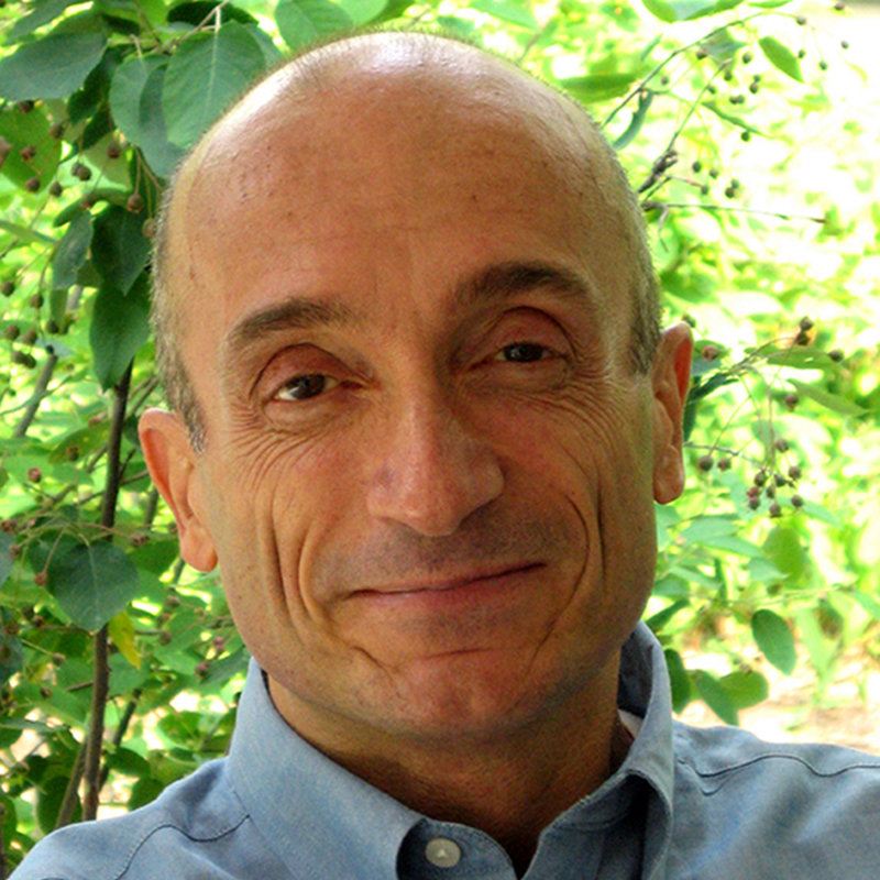 Profile picture of David Kamp